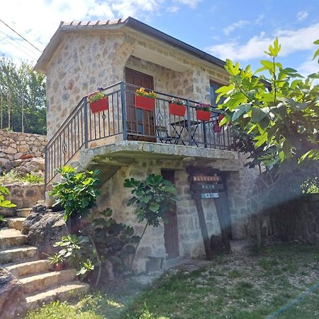 Vila Pegaz فيربازار المظهر الخارجي الصورة