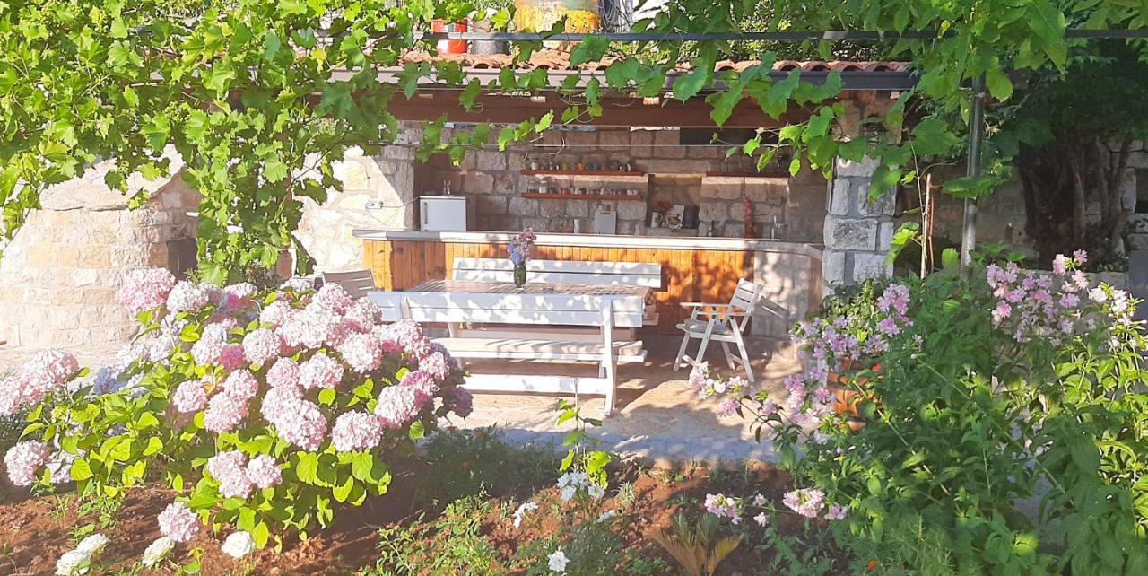 Vila Pegaz فيربازار المظهر الخارجي الصورة