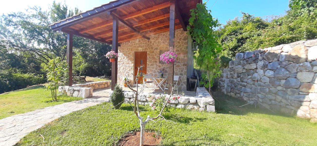 Vila Pegaz فيربازار المظهر الخارجي الصورة