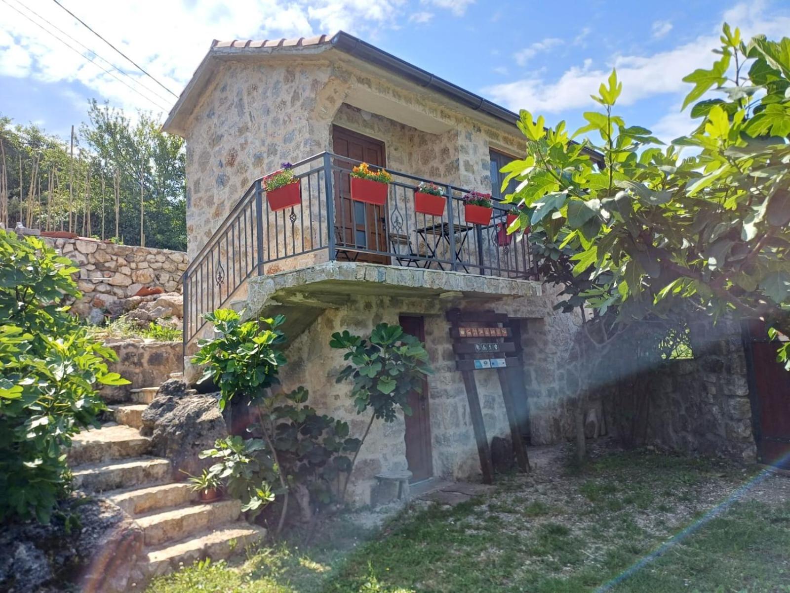 Vila Pegaz فيربازار المظهر الخارجي الصورة