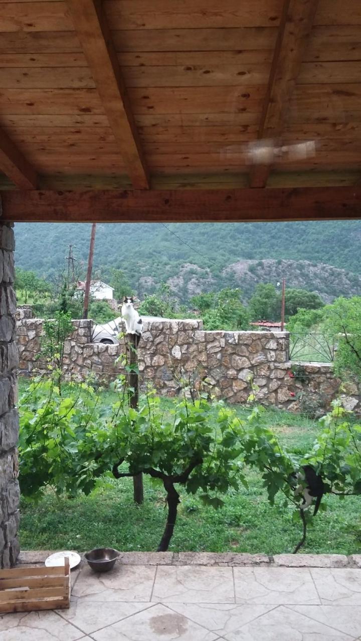 Vila Pegaz فيربازار المظهر الخارجي الصورة